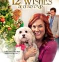 12 Wishes of Christmas (2011)