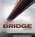 The Bridge (2013– )