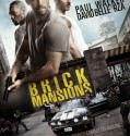 Brick Mansions (2014) CAM