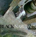 Black Narcissus (1947)