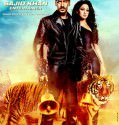 Courageous / Himmatwala (2013)