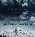Sugar Mountain (2016)