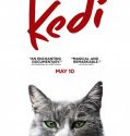 Kedi (2016)