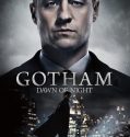 Gotham (2014-)