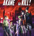 Akame ga Kill (2009- )