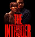 THE INTRUDER (2019)
