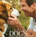 A DOG’S JOURNEY (2019)