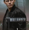 Young Wallander (2020-)