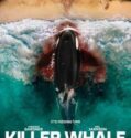 KILLER WHALE (2026)